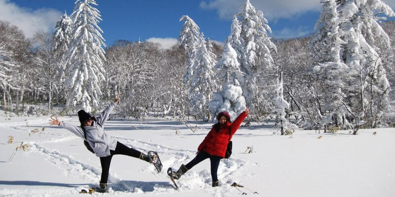 Du lịch Nhật Bản mùa Đông khám phá Hokkaido