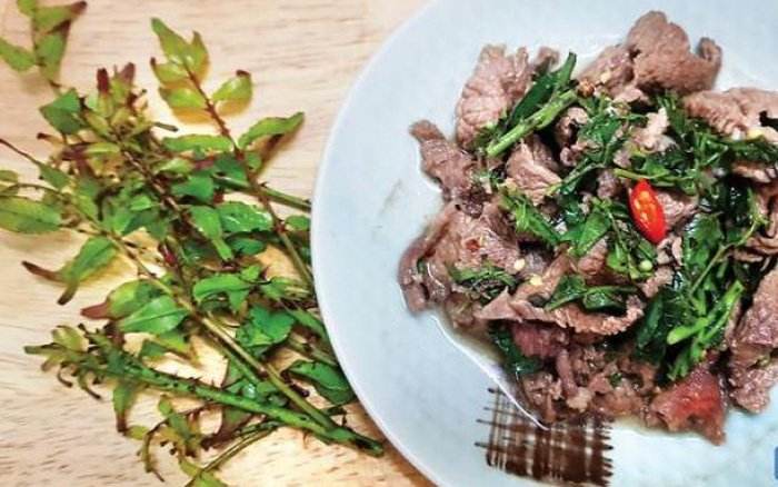 Thịt trâu lá trơng