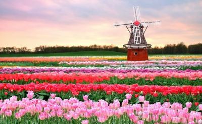 Vườn hoa Keukenhof