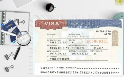 Visa e7