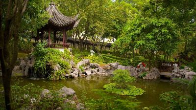 Công viên Kowloon (Kowloon Park)