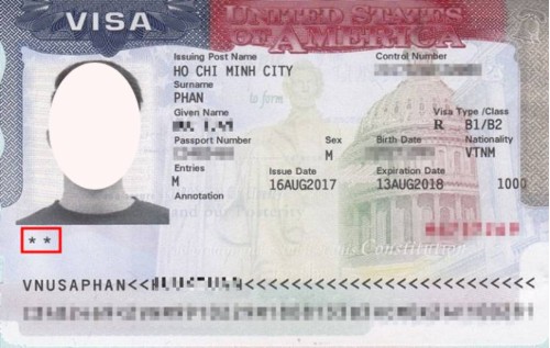 mau-visa-my-du-lich-viet