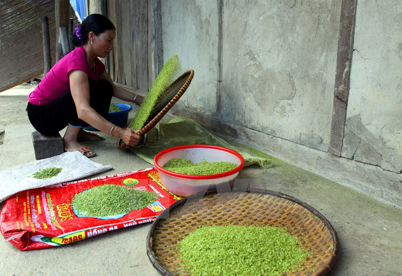 Mọc cốm Sapa
