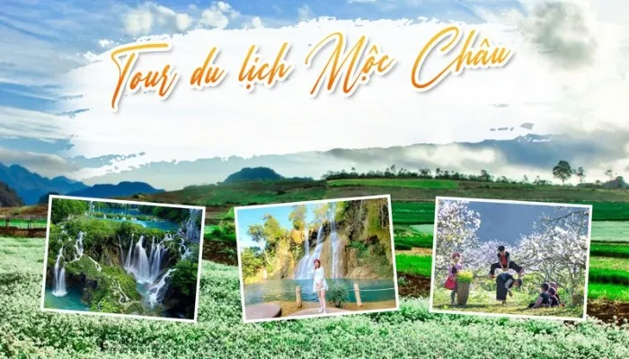 Gợi ý tour du lịch Mộc Châu hấp dẫn
