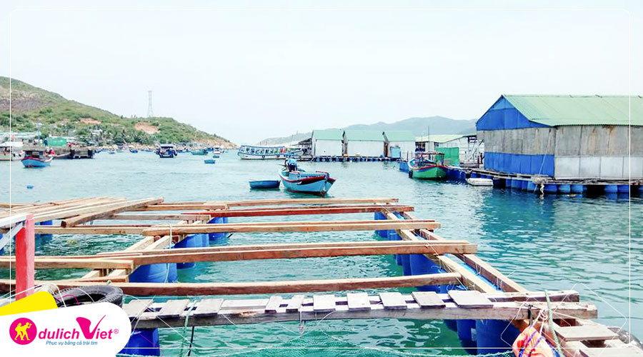 Du lịch Tết Nguyên Đán Đảo Bình Hưng - Ninh Chữ  3N2Đ từ Sài Gòn 2025