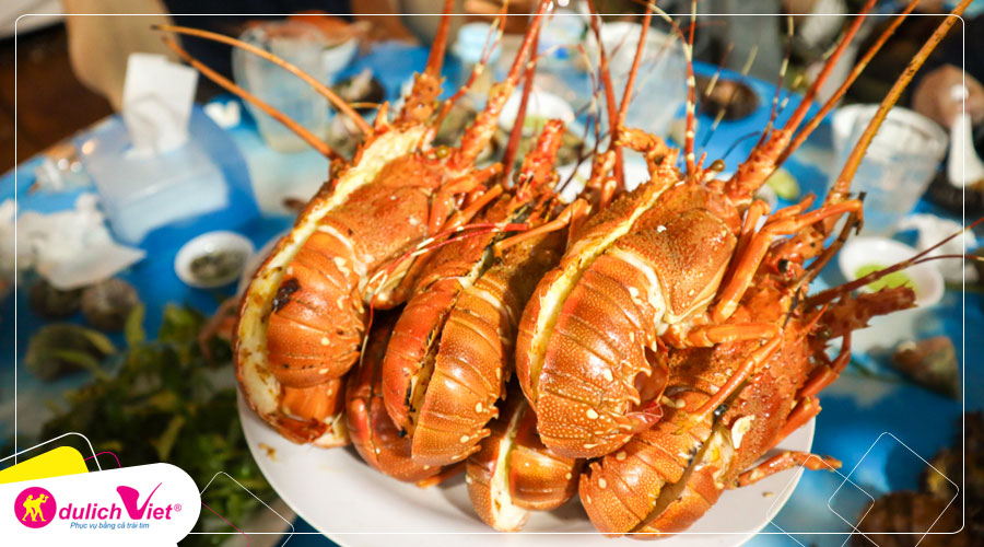 Du lịch Hè - Tour Du lịch Đảo Bình Hưng - Ninh Chữ từ Sài Gòn