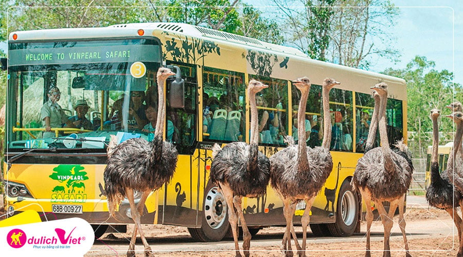 Du lịch Phú Quốc ngắm hoàng hôn tại Sunset Sanato 3N2Đ từ Sài Gòn 2025
