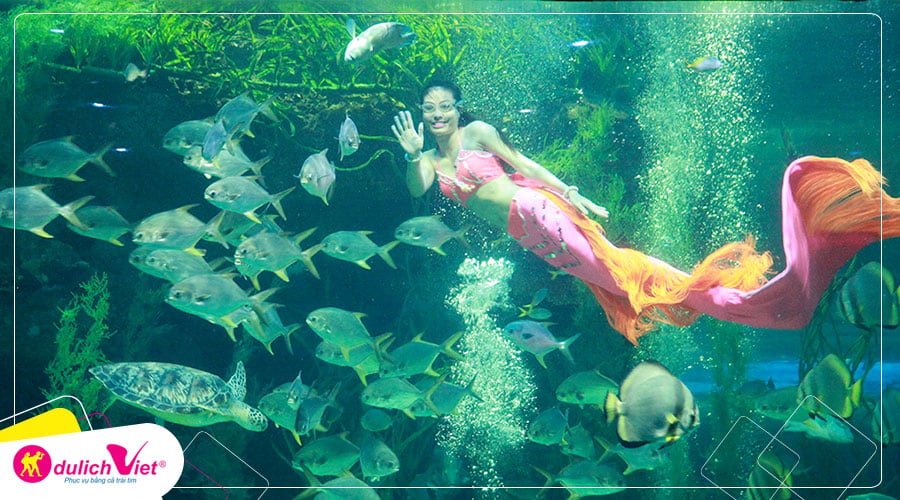 Tour Hà Tiên - Phú Quốc: Bãi Sao - Vinpearland - Tặng câu cá, ngắm san hô mùa Thu từ Sài Gòn