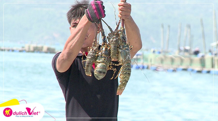 Du lịch Tết Nguyên Đán Đảo Bình Hưng - Ninh Chữ  3N2Đ từ Sài Gòn 2025