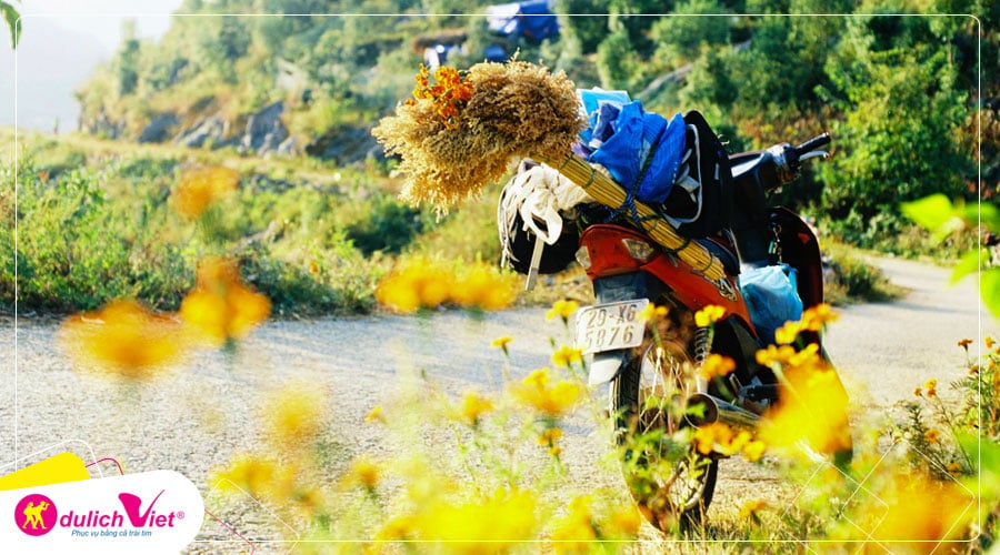 Tour Miền Bắc - Hà Giang - Quản Bạ - Lũng Cú - Mèo Vạc - Đền Hùng 5 ngày mùa Thu từ Sài Gòn