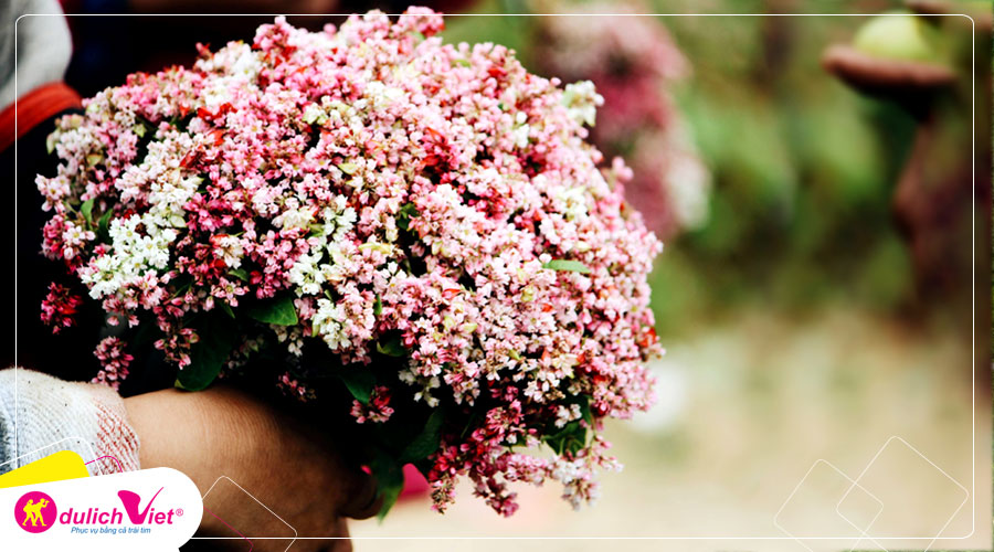Du lịch Miền Bắc - Đông Bắc - Bắc Kạn 5 ngày 4 đêm mùa Hè từ Sài Gòn