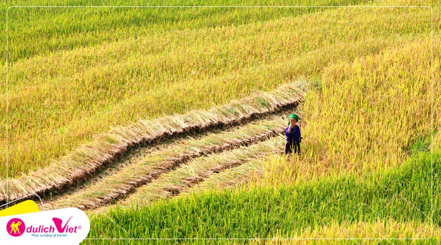 Tour du lịch Miền Bắc - Đông Bắc - Hà Giang - Cao Bằng 5 ngày mùa Thu từ Sài Gòn