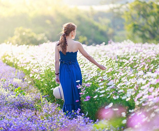 Du lịch Đà Lạt - Hoa Sơn Điền Trang - Trang trại rau và hoa từ Sài Gòn