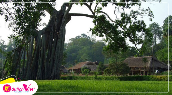 Du lịch Tuyên Quang - Đền Cấm - Lán Nà Lừa - Cây Đa Tân Trào từ Hà Nội