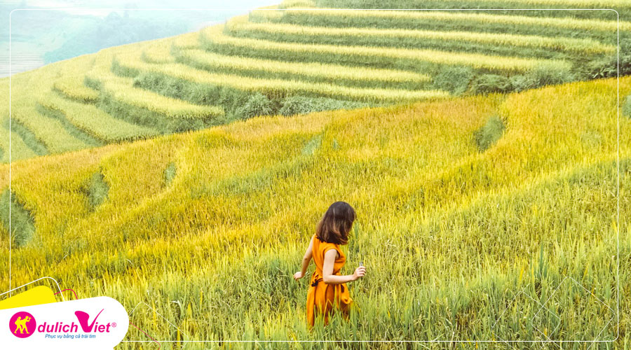 Tour du lịch Miền Bắc - Tây Bắc - Mai Châu - Mộc Châu - Yên Bái - Sapa mùa lúa chín từ Sài Gòn