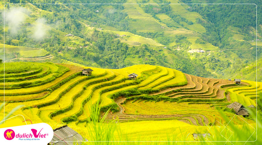 Du Lịch Mai Châu - Mộc Châu - Yên Bái - Sapa mùa lúa chín bay Vietnam Airlines từ Sài Gòn