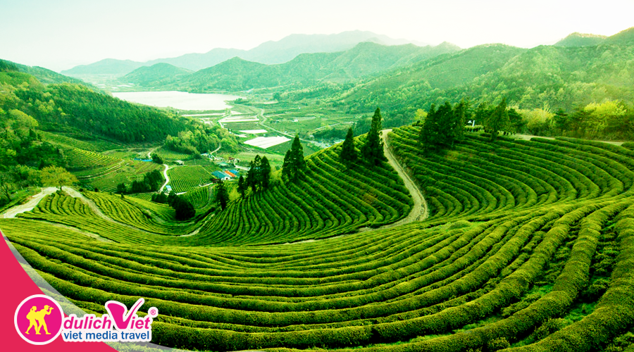 Du lịch Miền Bắc - Du lịch Tây Bắc (Hà Nội - Mộc Châu - Sơn La - Điện Biên - Sapa - Phú Thọ) từ Sài Gòn mùa Lễ 30/4 giá tốt 2025
