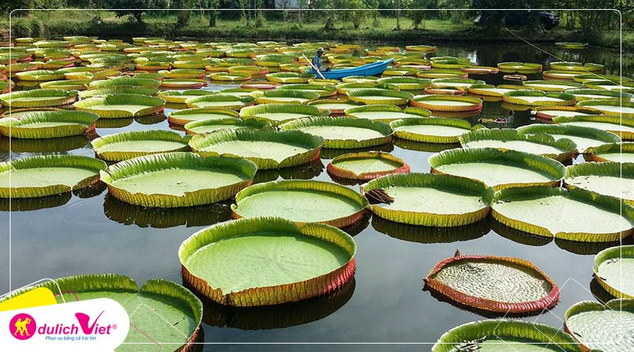 Du lịch Hè - Tour Du lịch Đồng Tháp Làng hoa Sa Đéc tràm chim Tam Nông từ Sài Gòn