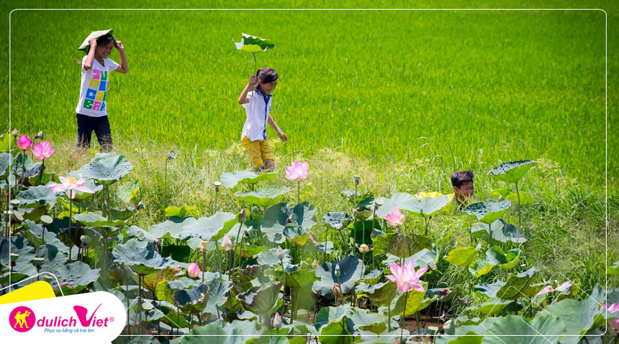 Du lịch Đồng Tháp - Làng Hoa Sa Đéc - Vườn Quýt Hồng Lai Vung - Chùa Lá Sen từ Sài Gòn