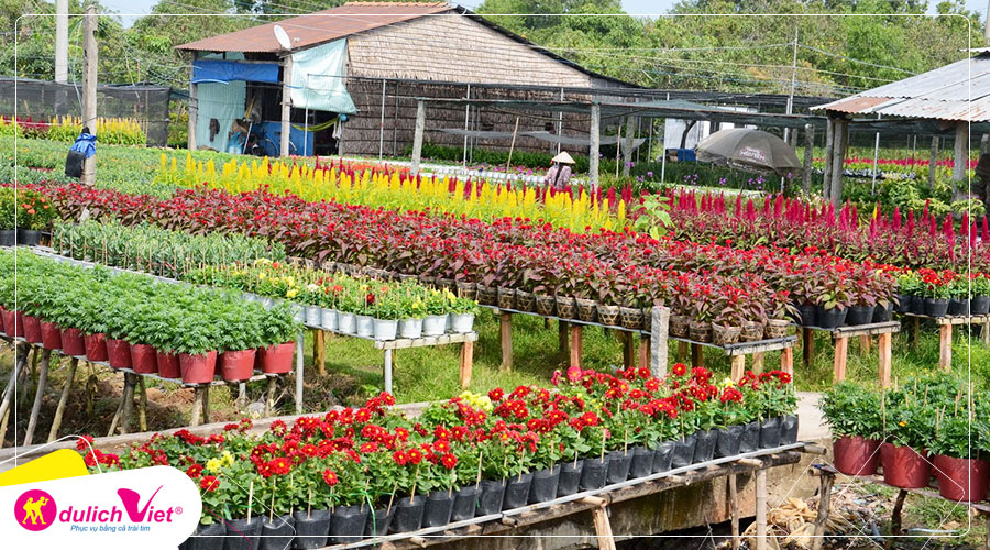 Du lịch Đồng Tháp - Làng Hoa Sa Đéc - Vườn Quýt Hồng Lai Vung - Chùa Lá Sen từ Sài Gòn
