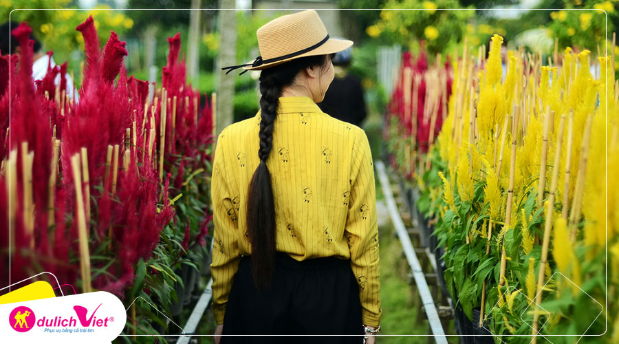 Du lịch Đồng Tháp - Làng Hoa Sa Đéc - Vườn Quýt Hồng Lai Vung - Chùa Lá Sen từ Sài Gòn