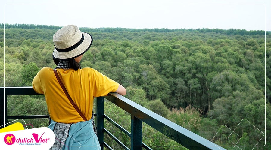 Du lịch Long An Tết Dương lịch - Khám phá làng nổi Tân Lập con đường xuyên rừng tràm đẹp nhất Việt Nam