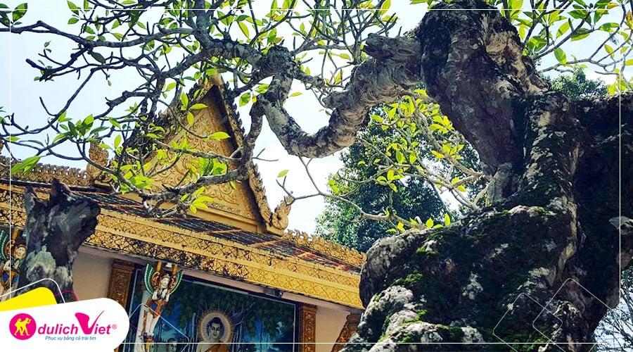 Du lịch Mỹ Tho - Cần Thơ - Cà Mau - Bạc Liêu - Sóc Trăng từ Sài Gòn 2025