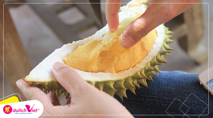 Du lịch Miền Tây Tết Dương Lịch - Tour tát mương bắt cá 1 ngày từ Sài Gòn
