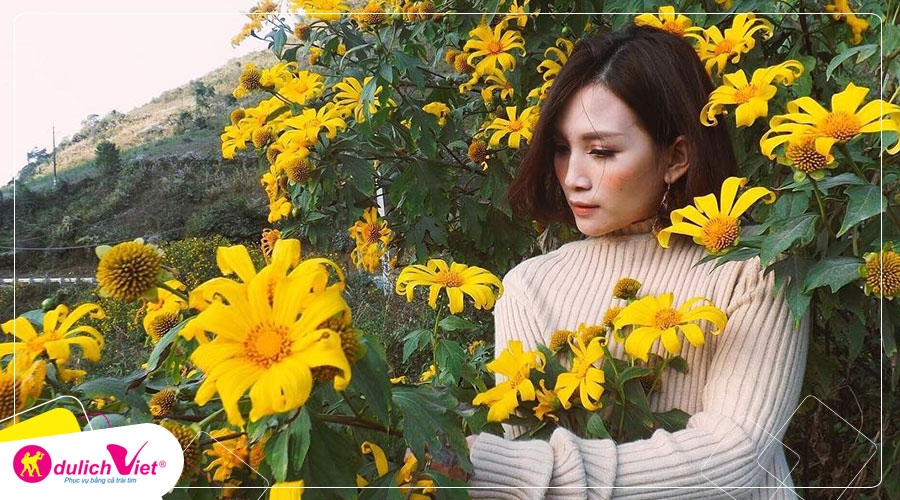 Du lịch Đà Lạt mùa hoa dã quỳ 4 ngày khởi hành từ Sài Gòn