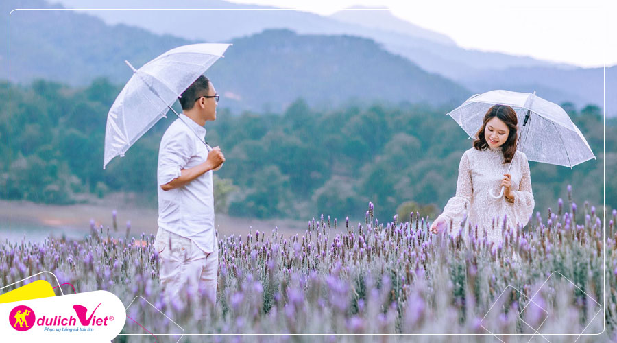 Du lịch Tết Dương Lịch 2025 Đà Lạt 3 ngày khởi hành từ Sài Gòn