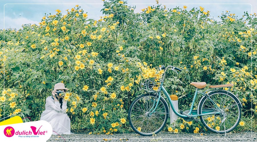 Du lịch Đà Lạt mùa hoa dã quỳ 4 ngày khởi hành từ Sài Gòn