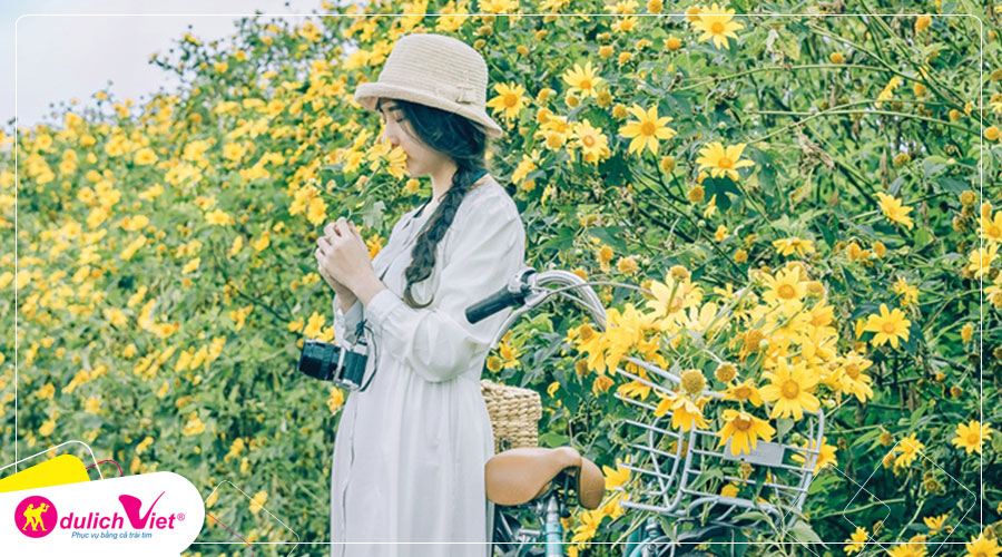 Du lịch Đà Lạt mùa hoa dã quỳ 4 ngày khởi hành từ Sài Gòn