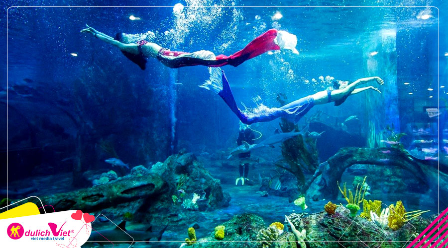 Tour du lịch Nha Trang mùa Thu 4 ngày 3 đêm từ Sài Gòn