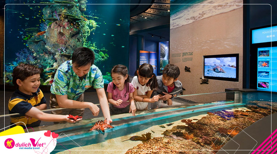 Tour du lịch Nha Trang mùa Thu 4 ngày 3 đêm từ Sài Gòn