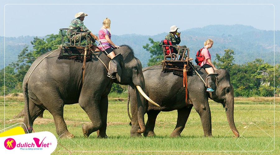 Du lịch Buôn Ma Thuột - Làng Cà Phê Trung Nguyên từ Sài Gòn giá tốt