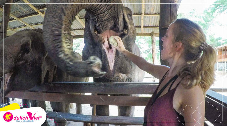 Du lịch Buôn Ma Thuột - Làng Cà Phê Trung Nguyên từ Sài Gòn giá tốt