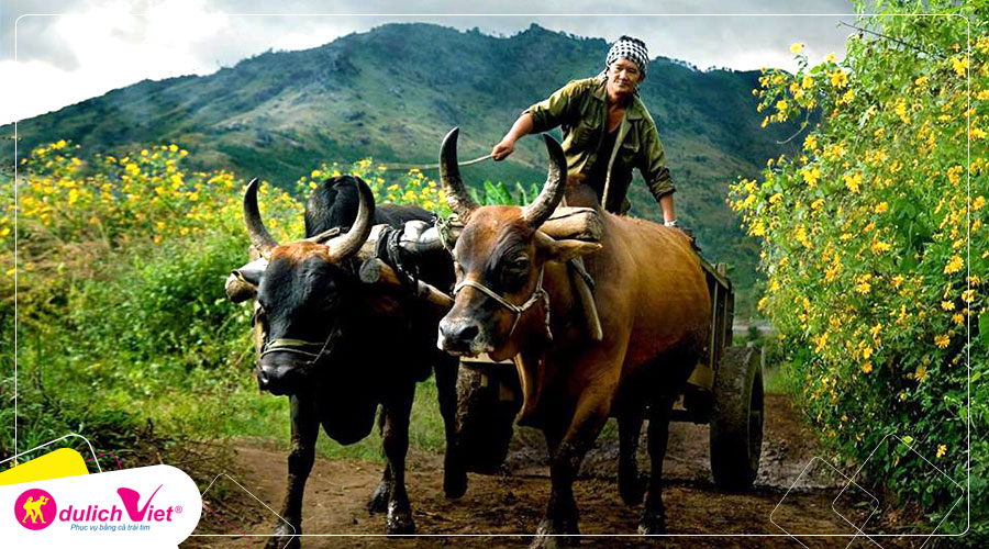 Du lịch Buôn Ma Thuột mùa hoa dã quỳ 3 ngày từ Sài Gòn