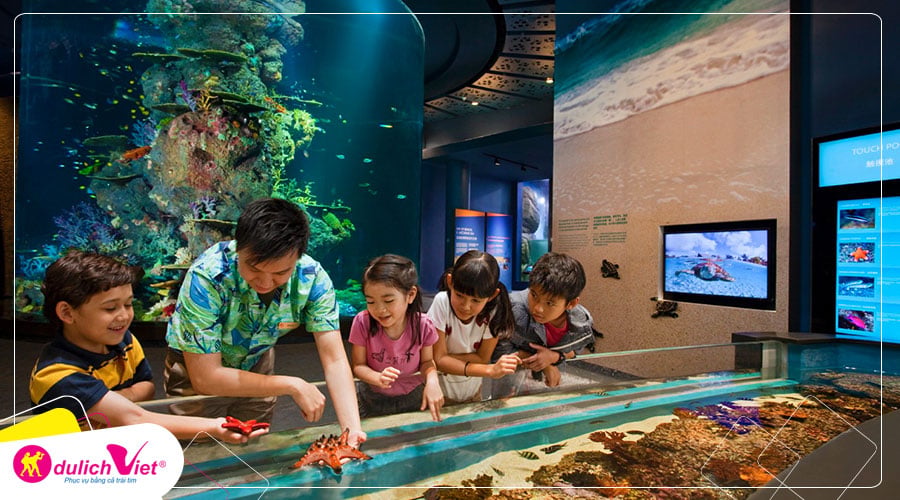Du lịch Hè - Tour Du lịch Nha Trang - Vinpearland - Đảo Bình Hưng từ Sài Gòn