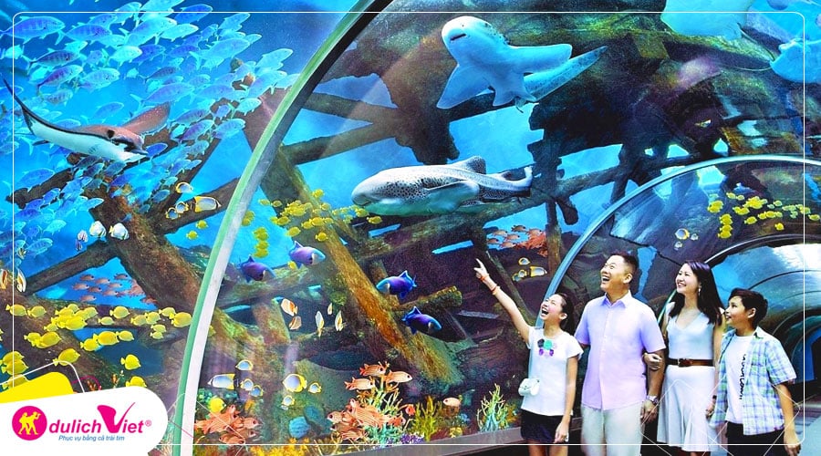 Du lịch Miền Trung - Nha Trang - Đà Lạt 5 ngày 4 đêm khởi hành từ Sài Gòn