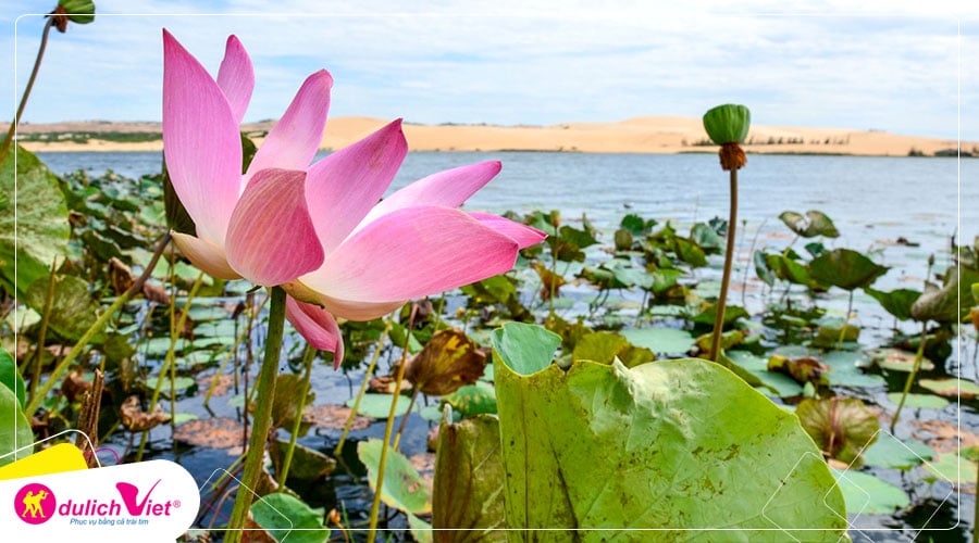 Du lịch Hè - Tour Du lịch Phan Thiết - Cát Vàng - Mũi Né - Hòn Rơm từ Sài Gòn