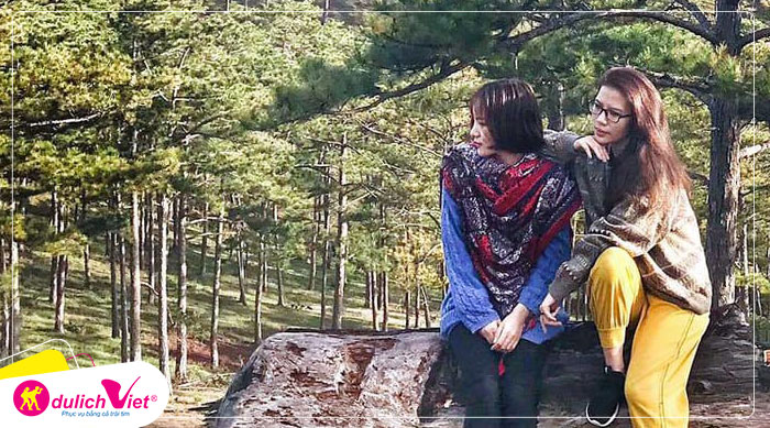 Du lịch Đà Lạt - Hoa Sơn Điền Trang - Trang trại rau và hoa từ Sài Gòn