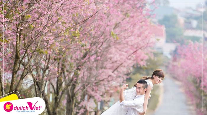 Du lịch Tết Nguyên Đán Đà Lạt - Đồi Chè Cầu Đất -  Lang Biang từ Sài 2025