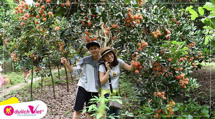 Du lịch Miền Tây - Tour Mỹ Tho - Cần Thơ 2 ngày khởi hành từ Sài Gòn