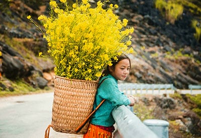 Du lịch Miền Bắc - Hà Giang - Quảng Bạ - Đồng Văn - Lũng Cú - Mèo Vạc mùa lễ 30/4 từ Sài Gòn 2025