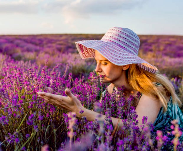 Du lịch Châu Âu mùa Hoa Lavender - Tour Pháp - Monaco - Tây Ban Nha - Bồ Đào Nha từ Sài Gòn 2025