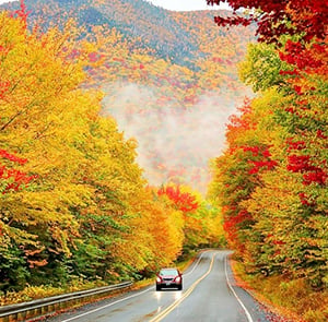 TOUR MỸ MÙA THU 6N5Đ | BỜ ĐÔNG HOA KỲ - NEW YORK - PHILADELPHIA - WASHINGTON D.C