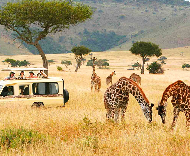 Du lịch Châu Phi - Tour Nam Phi Mùa Hoa Phượng Tím 8N7Đ từ Sài Gòn 2025
