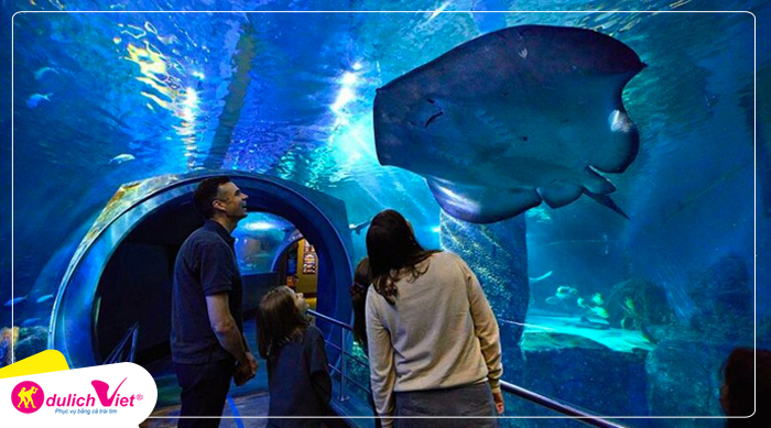 Sealife Aquarium