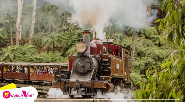 Tour Úc tham quan Công viên quốc gia Dandenong
