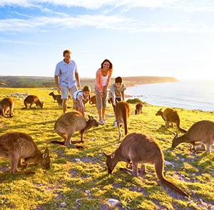 Du lịch Úc mùa Thu - Sydney - Melbourne 6N5Đ từ Sài Gòn 2025